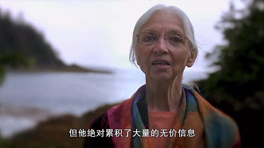 生死与轮回 Life Death & Reincarnation