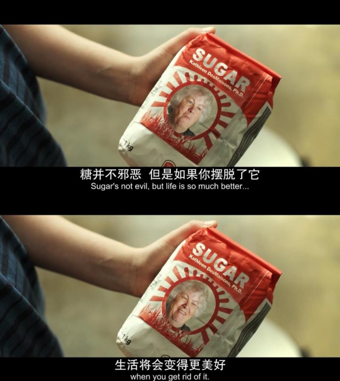 一部关于糖的电影 That Sugar Film