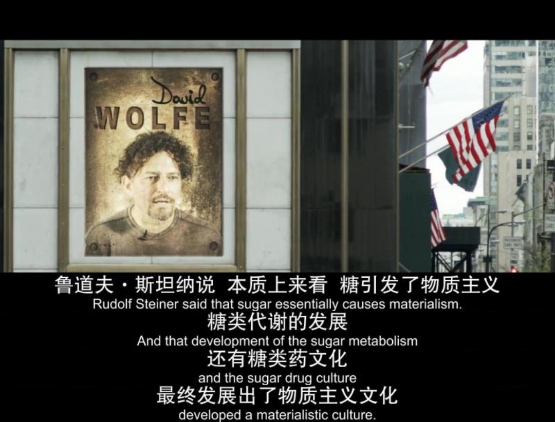 一部关于糖的电影 That Sugar Film