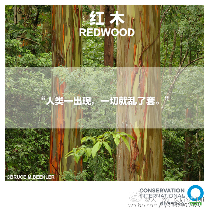 大自然在说话 Nature Is Speaking