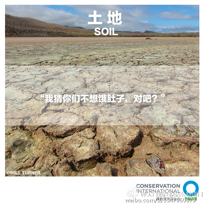 大自然在说话 Nature Is Speaking