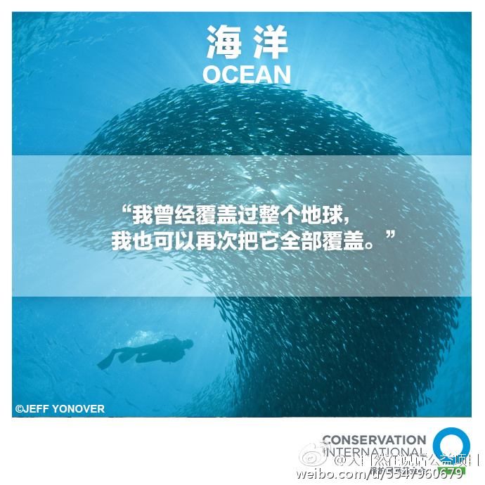 大自然在说话 Nature Is Speaking