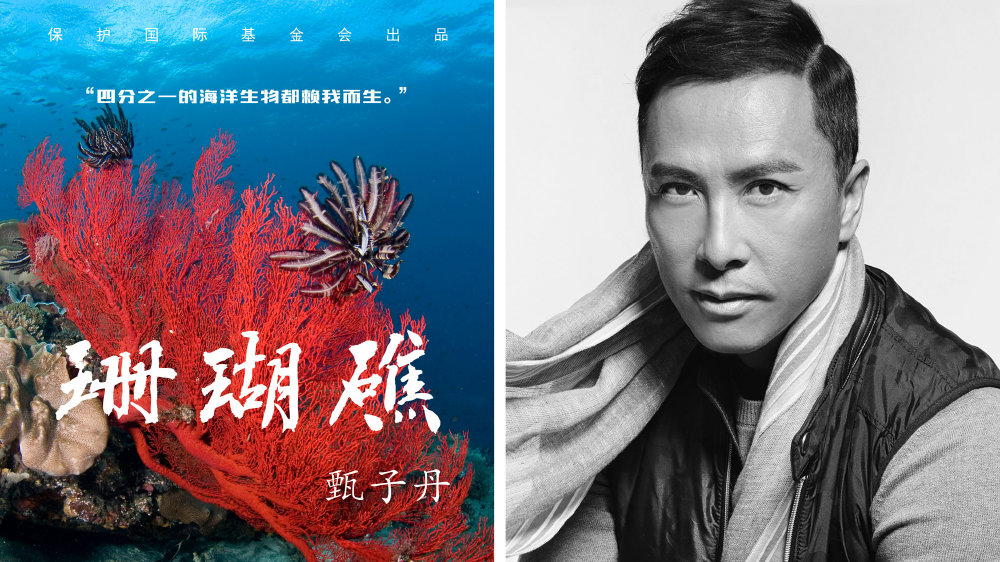 大自然在说话 Nature Is Speaking