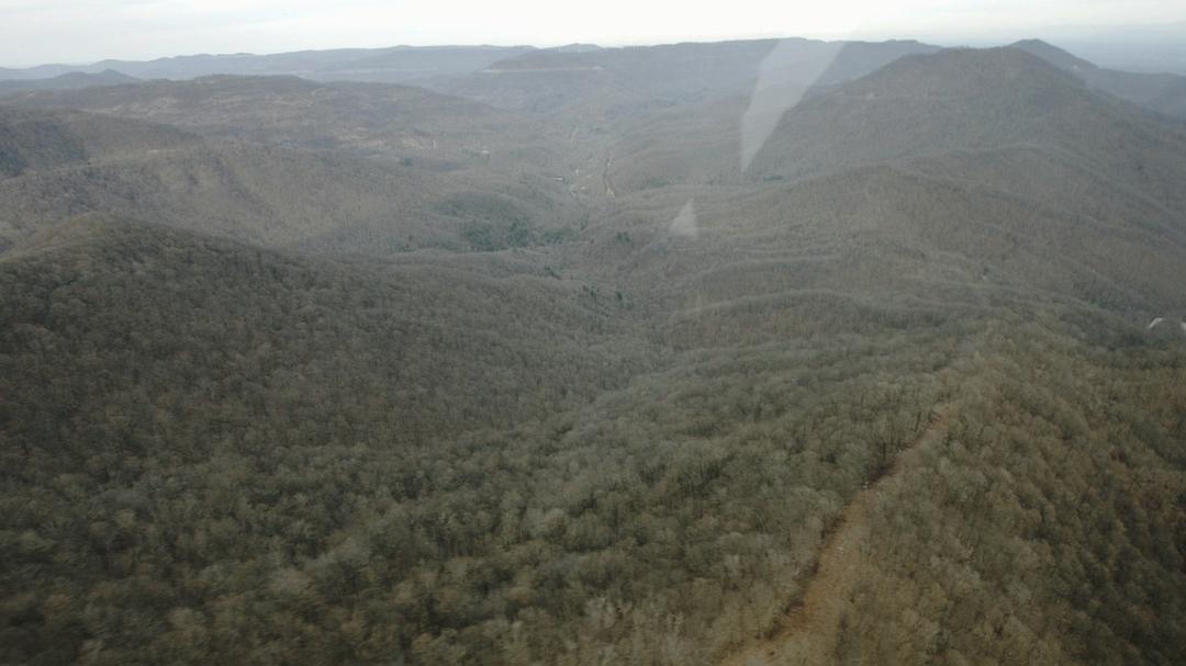 巴克利超级马拉松:测试年轻人极限的赛事 The Barkley Marathons: The Race That Eats Its Young