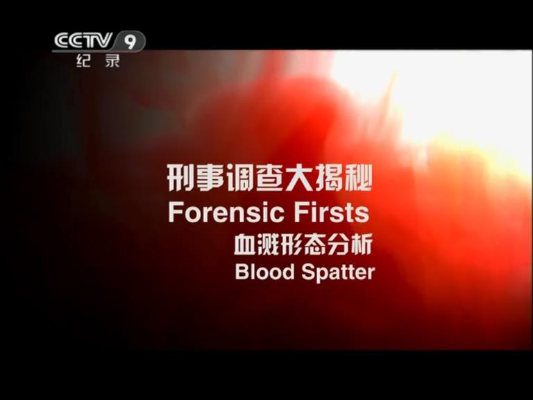 刑事调查大揭秘 第一季 Forensic Firsts Season 1