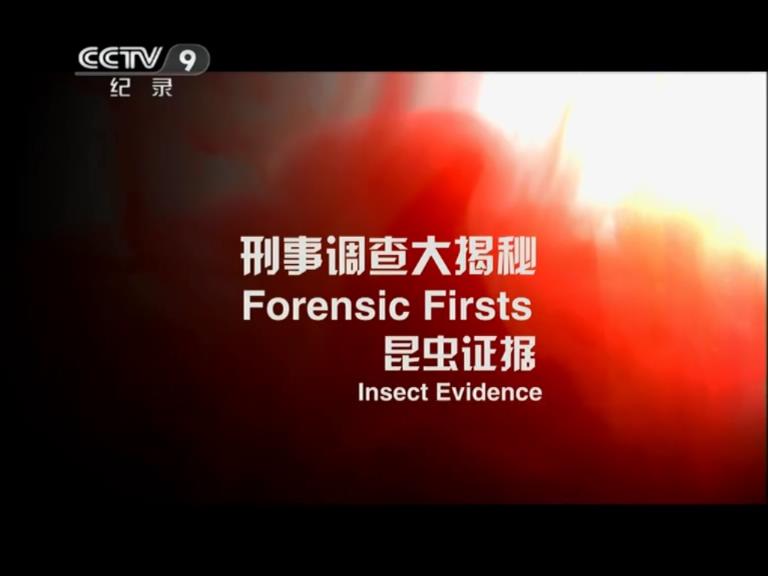 刑事调查大揭秘 第一季 Forensic Firsts Season 1