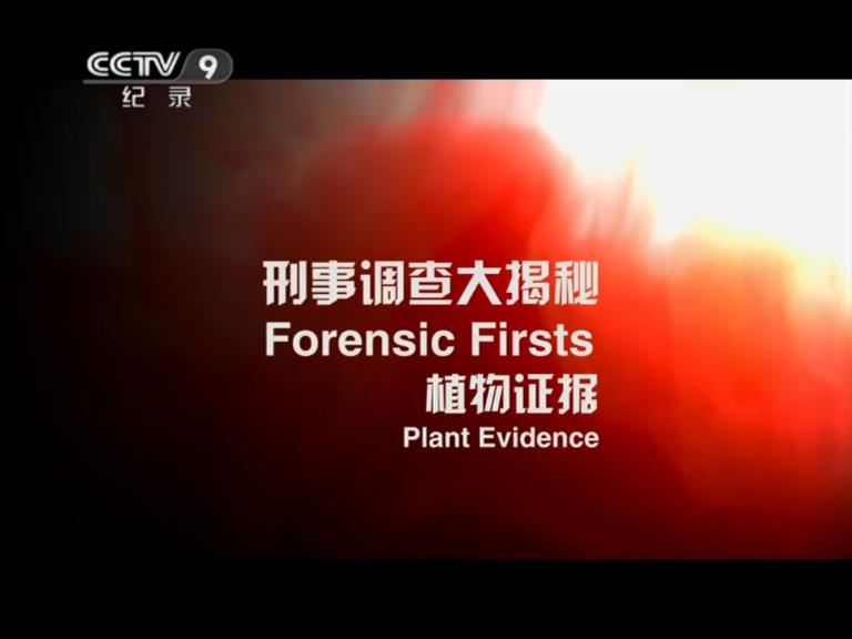 刑事调查大揭秘 第一季 Forensic Firsts Season 1