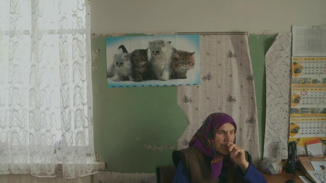 切尔诺贝利的大娘们 The Babushkas of Chernobyl