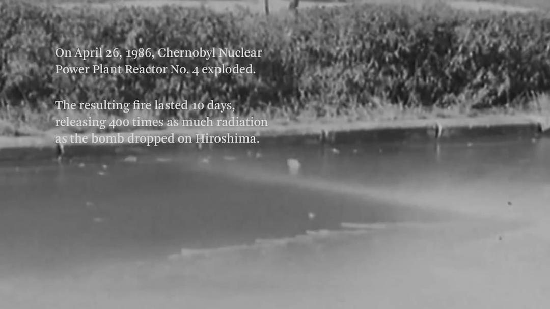 切尔诺贝利的大娘们 The Babushkas of Chernobyl