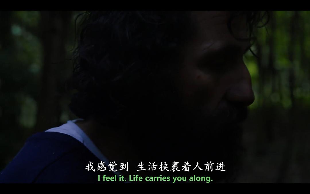 我们在这片森林里制造梦想 Le bois dont les rêves sont faits