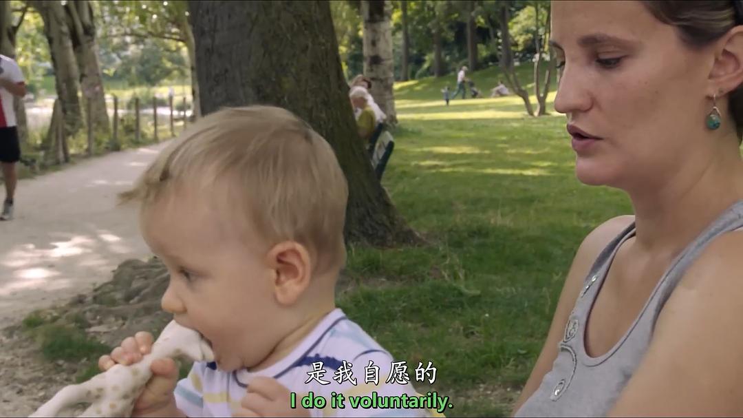 我们在这片森林里制造梦想 Le bois dont les rêves sont faits