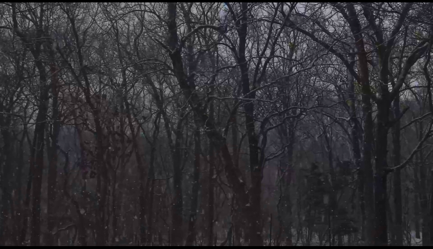 狗心 Heart of a Dog