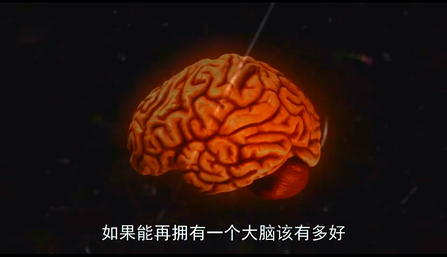 狗心 Heart of a Dog