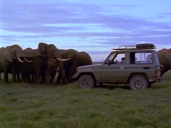 国家地理百年纪念典藏:与象共舞 Coming of Age with Elephants