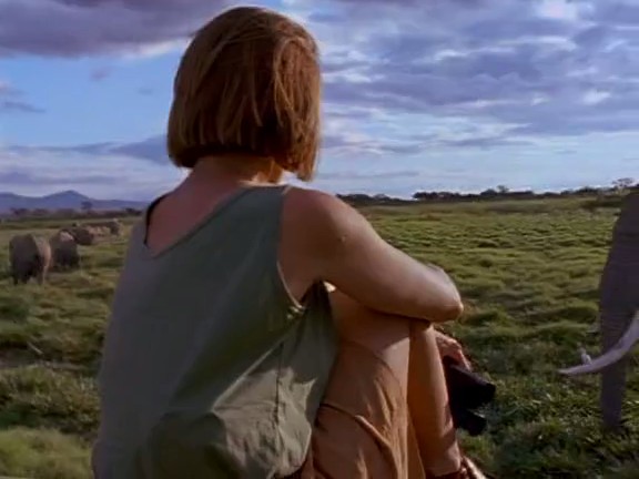 国家地理百年纪念典藏:与象共舞 Coming of Age with Elephants