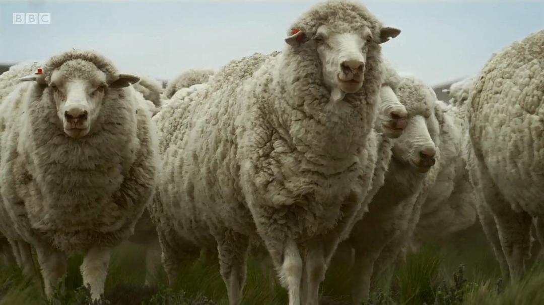 帕塔哥尼亚:神秘天堂 Patagonia: Earth's Secret Paradise