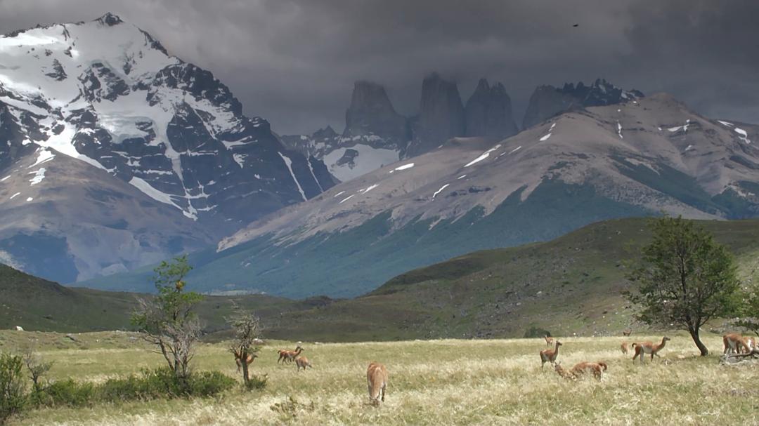 帕塔哥尼亚:神秘天堂 Patagonia: Earth's Secret Paradise