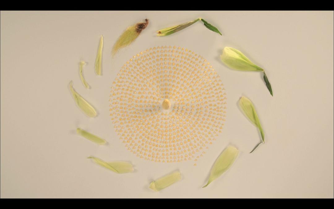 啊!设计 デザインあ