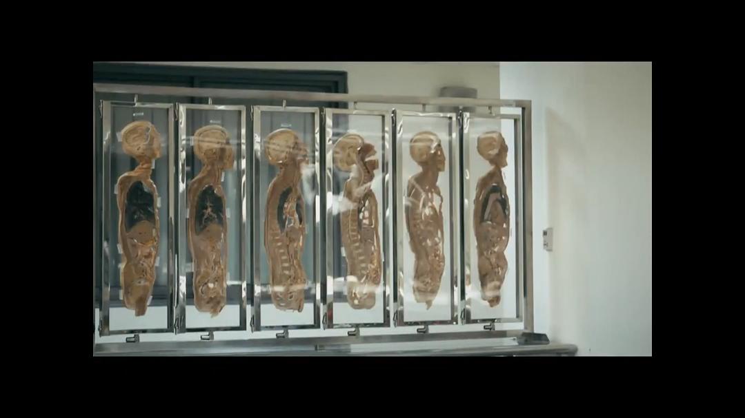 那个静默的阳光午后 那個靜默的陽光午後