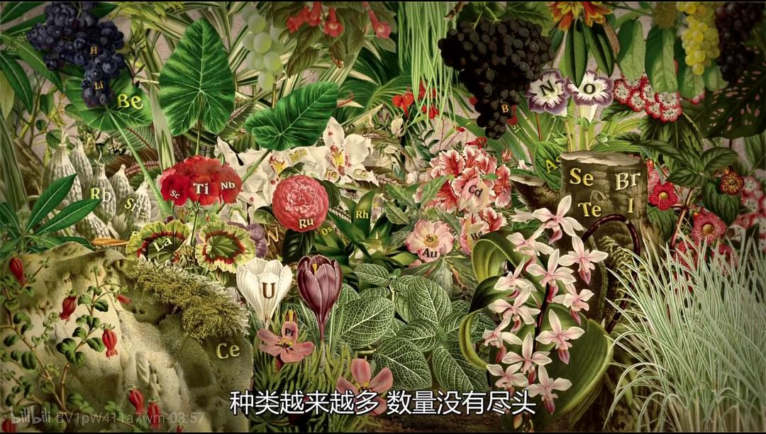 物质之谜-寻找元素 The Mystery of Matter: Search for the Elements