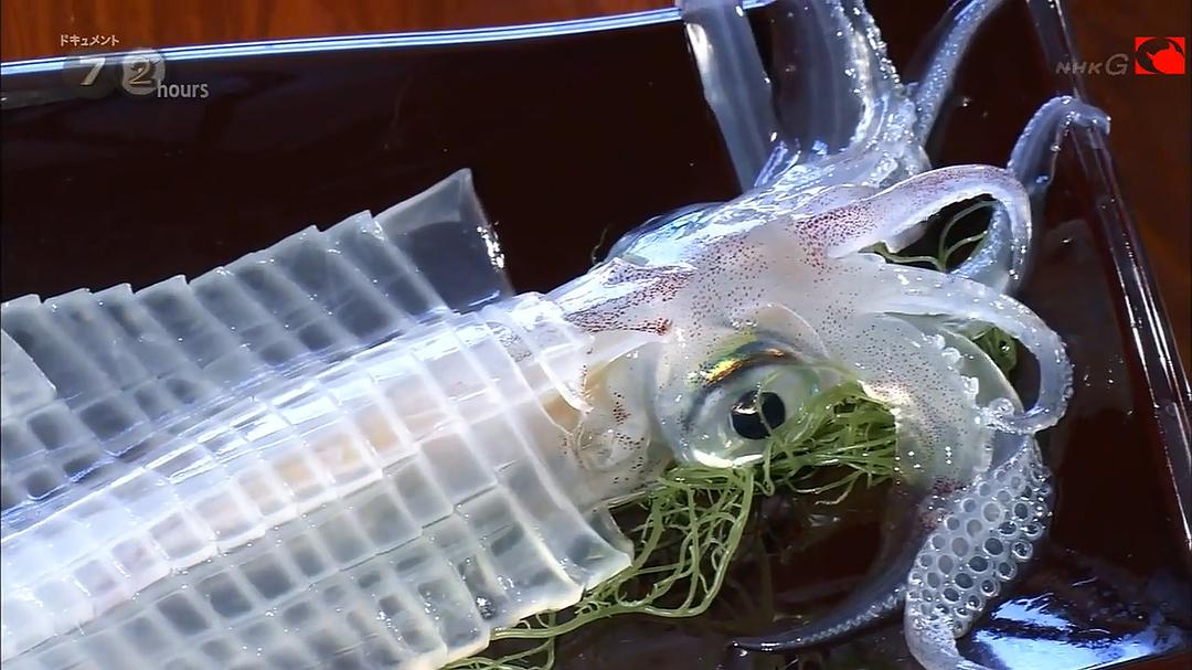 纪实72小时 旅行渔夫 钓乌贼的人生 ドキュメント72時間 旅漁師 イカ釣り人生