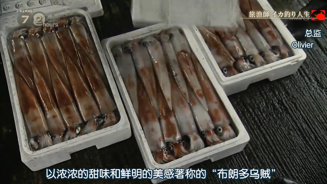 纪实72小时 旅行渔夫 钓乌贼的人生 ドキュメント72時間 旅漁師 イカ釣り人生