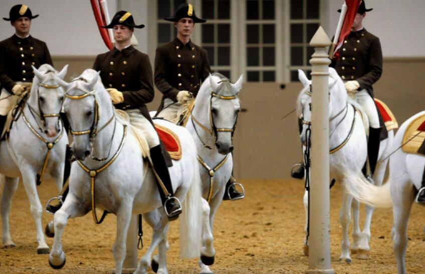 白雪名驹 PBS:Nature: Legendary White Stallions