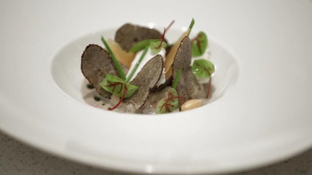 致格蕾丝 For Grace