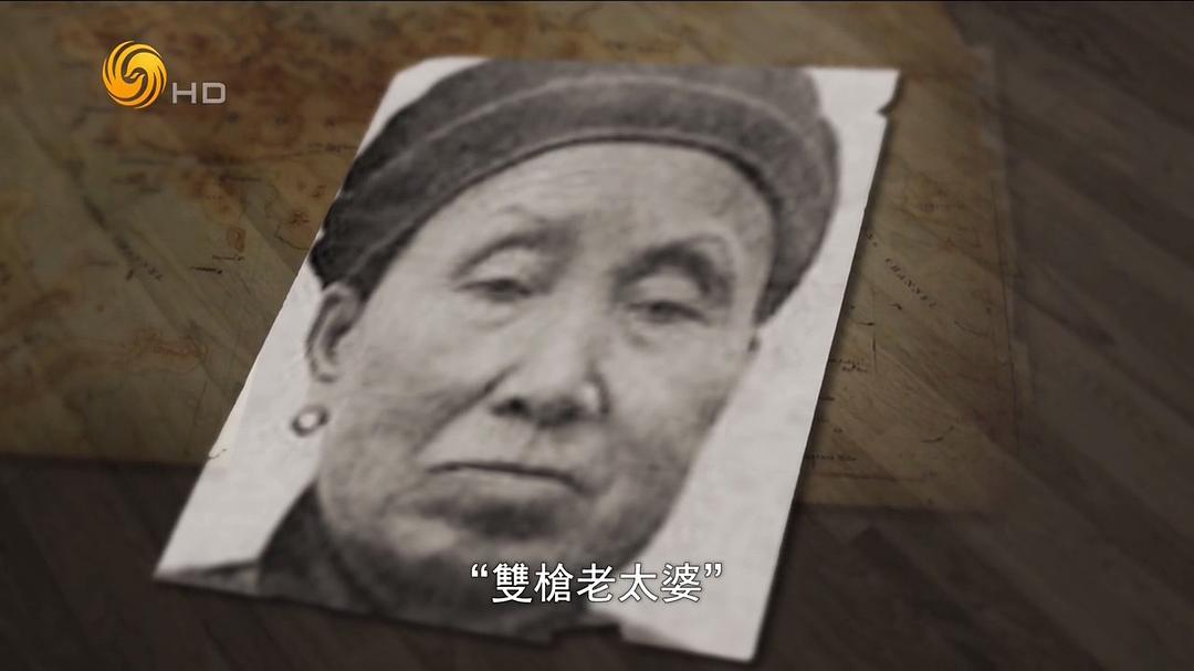 横戈蹈虎穴:解放军剿匪纪事 橫戈蹈虎穴:解放軍剿匪紀事