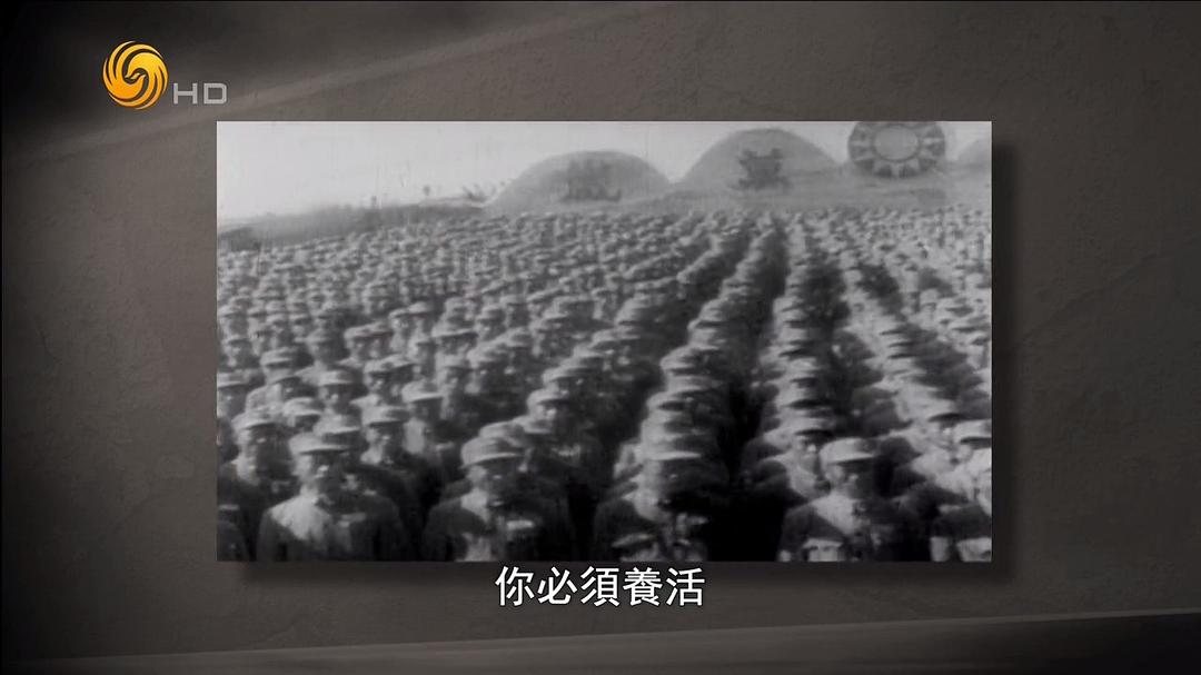 横戈蹈虎穴:解放军剿匪纪事 橫戈蹈虎穴:解放軍剿匪紀事