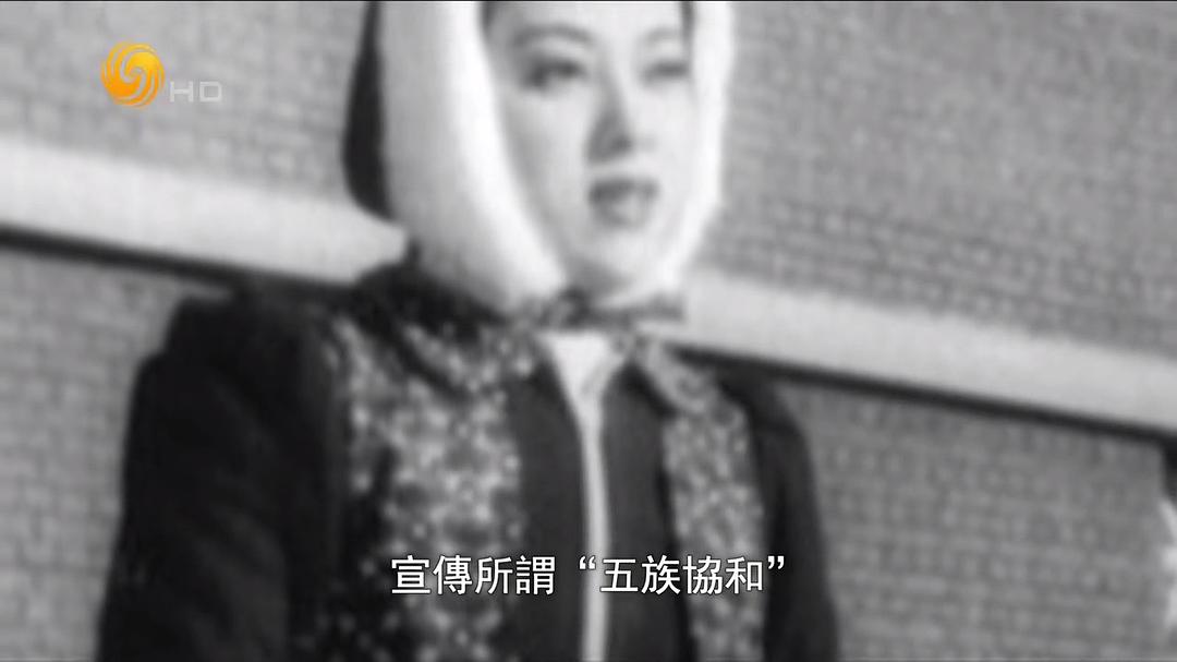 血染山河—抗战珍稀影像全纪录