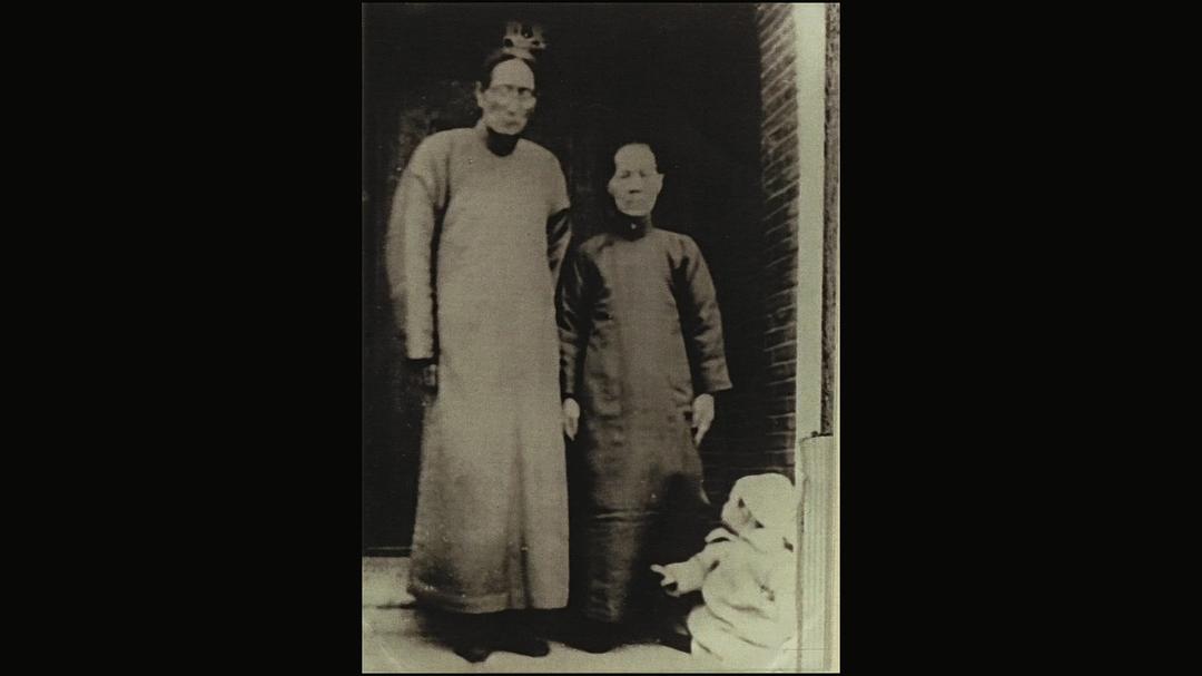 他们在岛屿写作:读中文系的人 他們在島嶼寫作:讀中文系的人