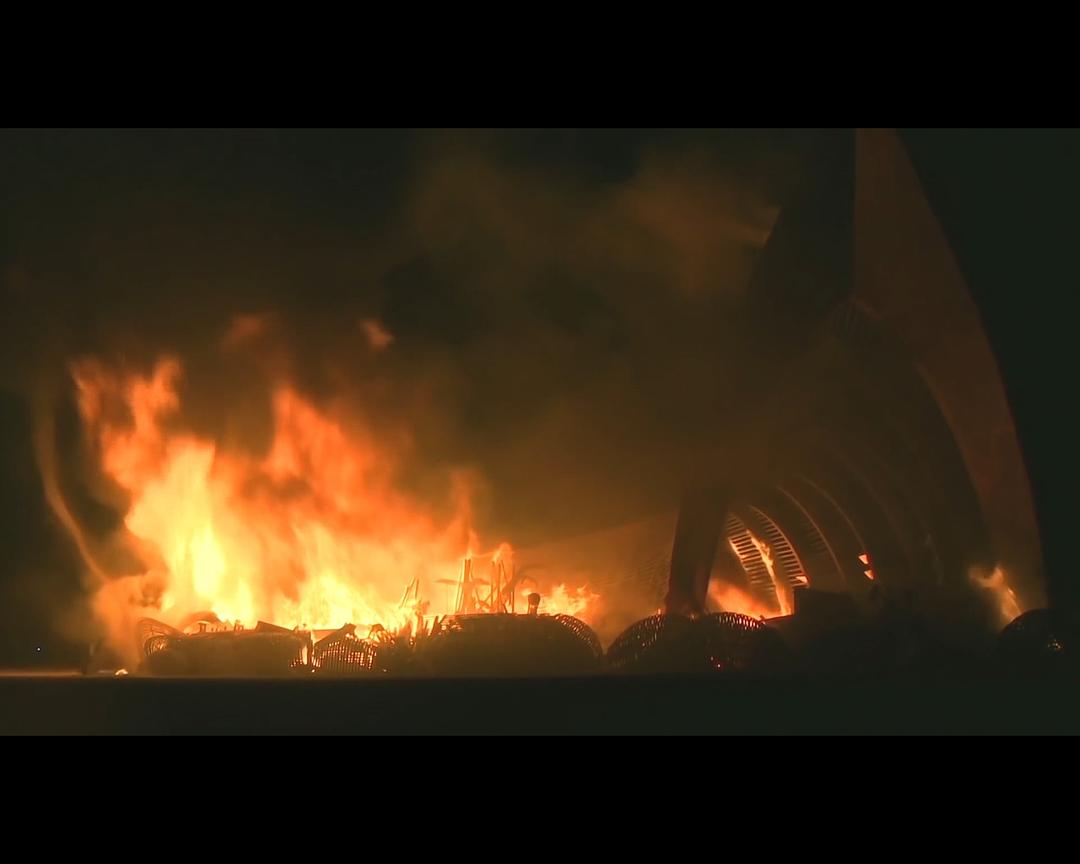 情系斯波克 For the Love of Spock