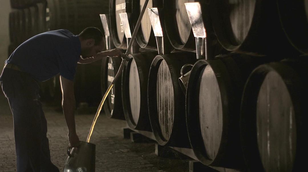 葡萄酒进瓶的那些事 SOMM: Into the Bottle