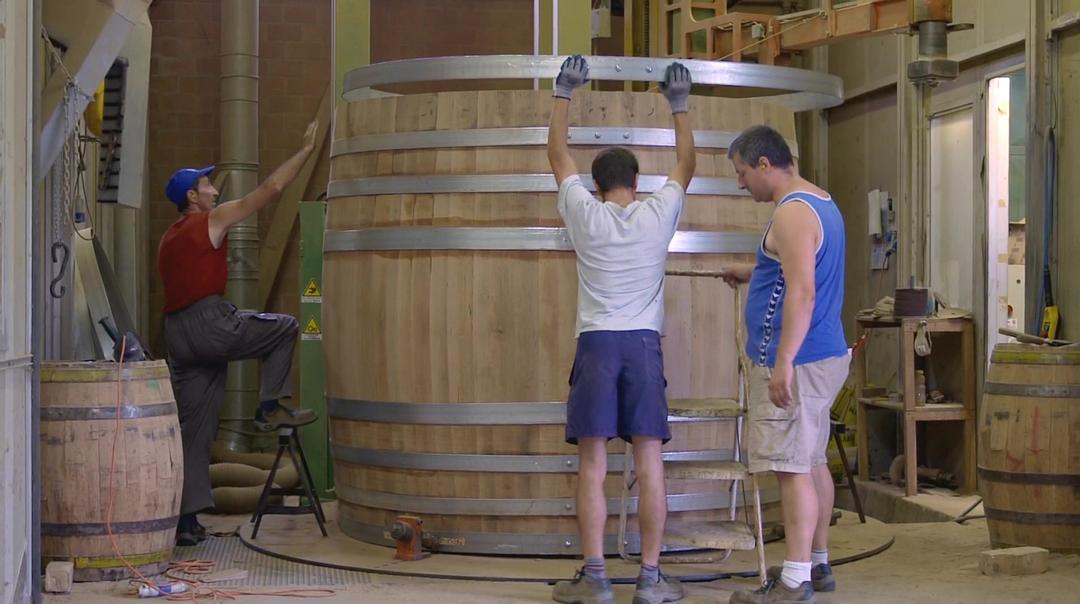 葡萄酒进瓶的那些事 SOMM: Into the Bottle