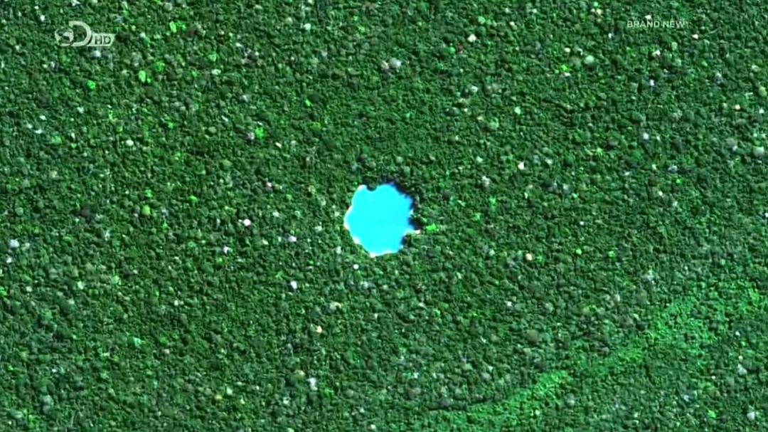 单挑神秘地表 Ed Stafford: Into the Unknown