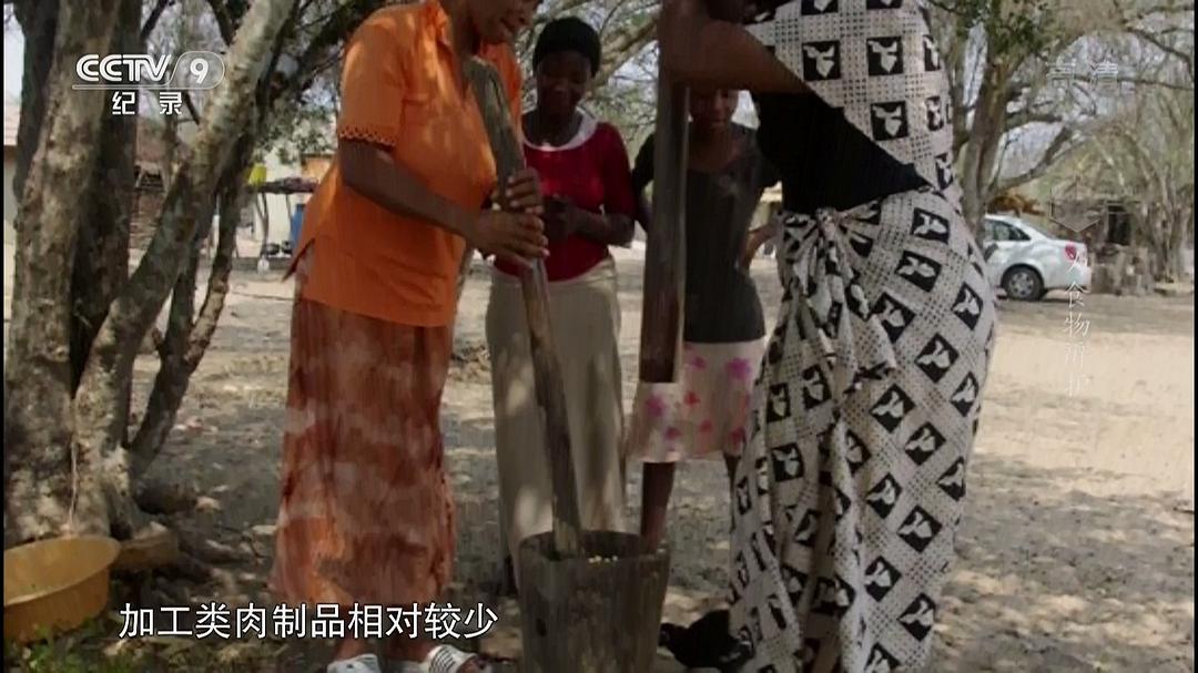 为食物辩护 In Defense of Food