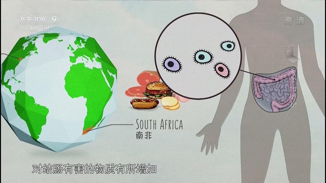 为食物辩护 In Defense of Food