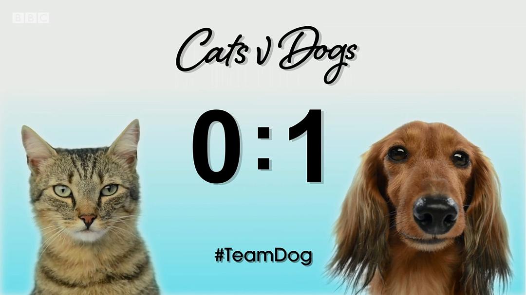 喵汪大比拼 cats v dogs which is best