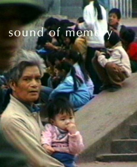 遗忘越南 Forgetting Vietnam