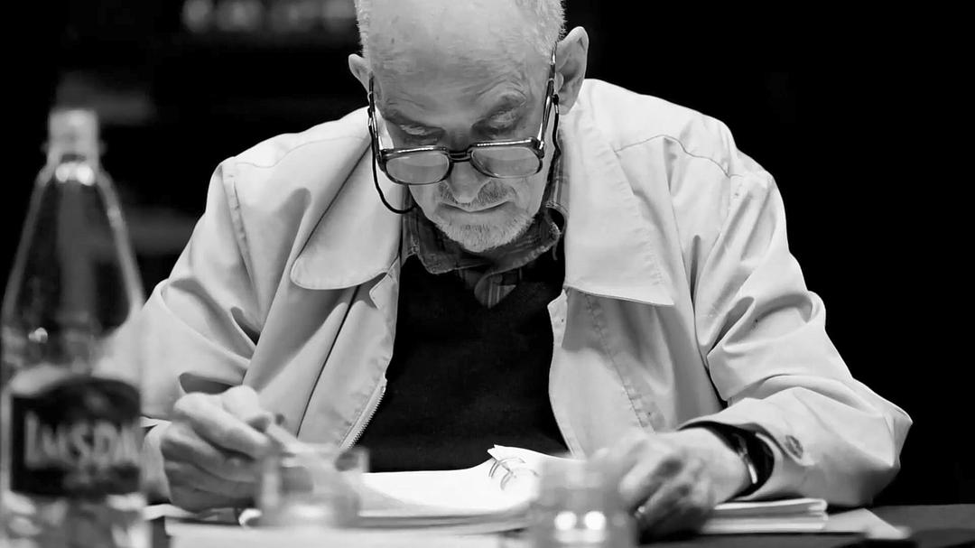 伯格曼:人生中的那一年 Bergman — ett år, ett liv