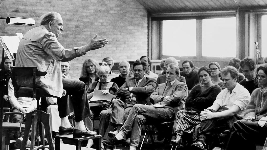 伯格曼:人生中的那一年 Bergman — ett år, ett liv