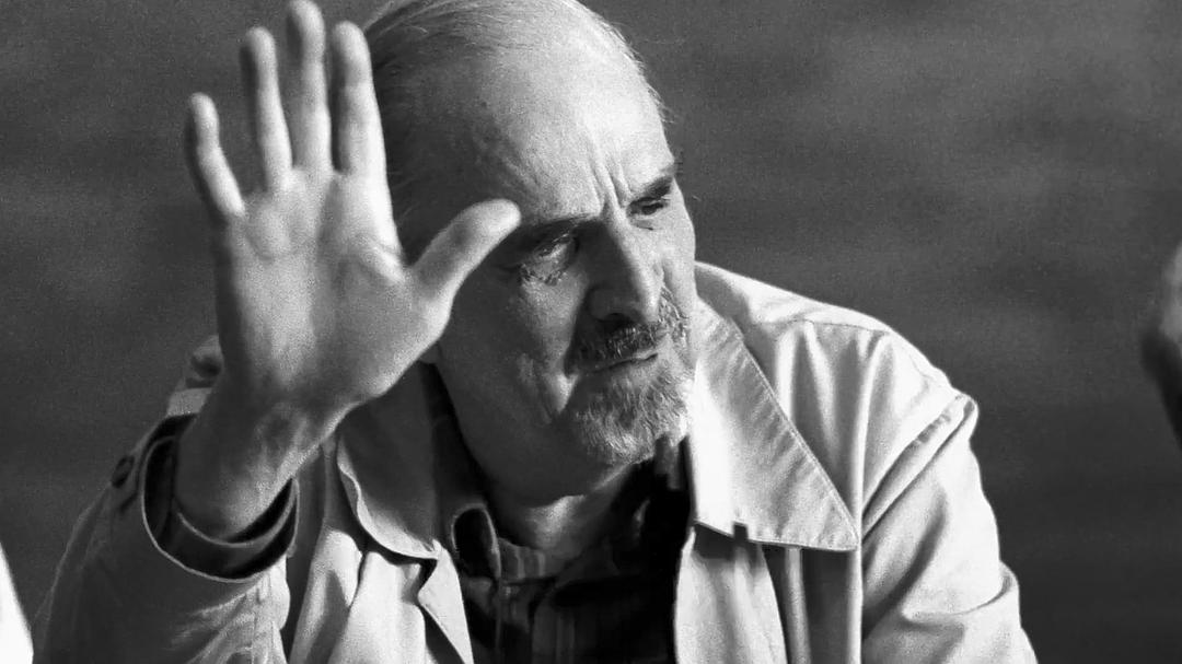 伯格曼:人生中的那一年 Bergman — ett år, ett liv