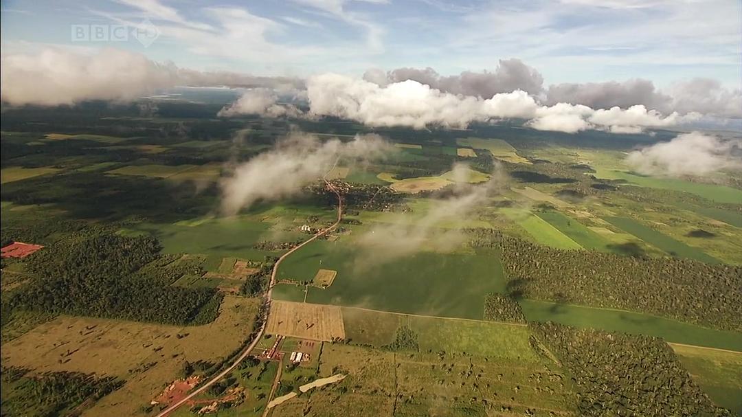 与布鲁斯·帕里游亚马逊 Amazon with Bruce Parry