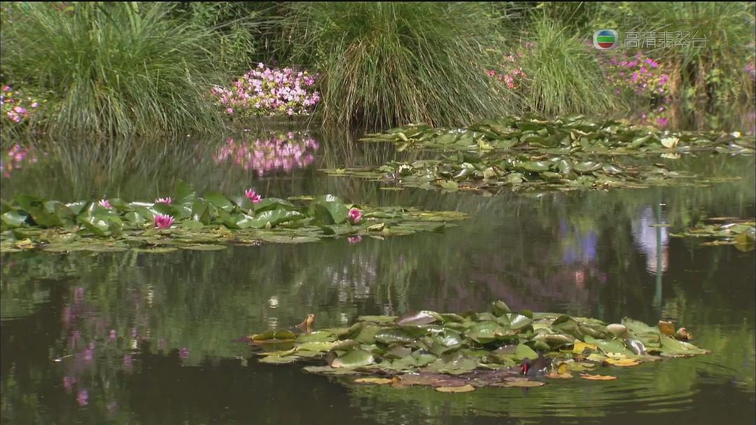 花花世界 Around The World In 80 Gardens