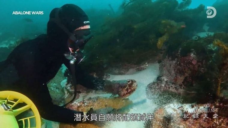 深海捕鲍/鲍鱼大战 第1-5季全16集 Abalone Wars
