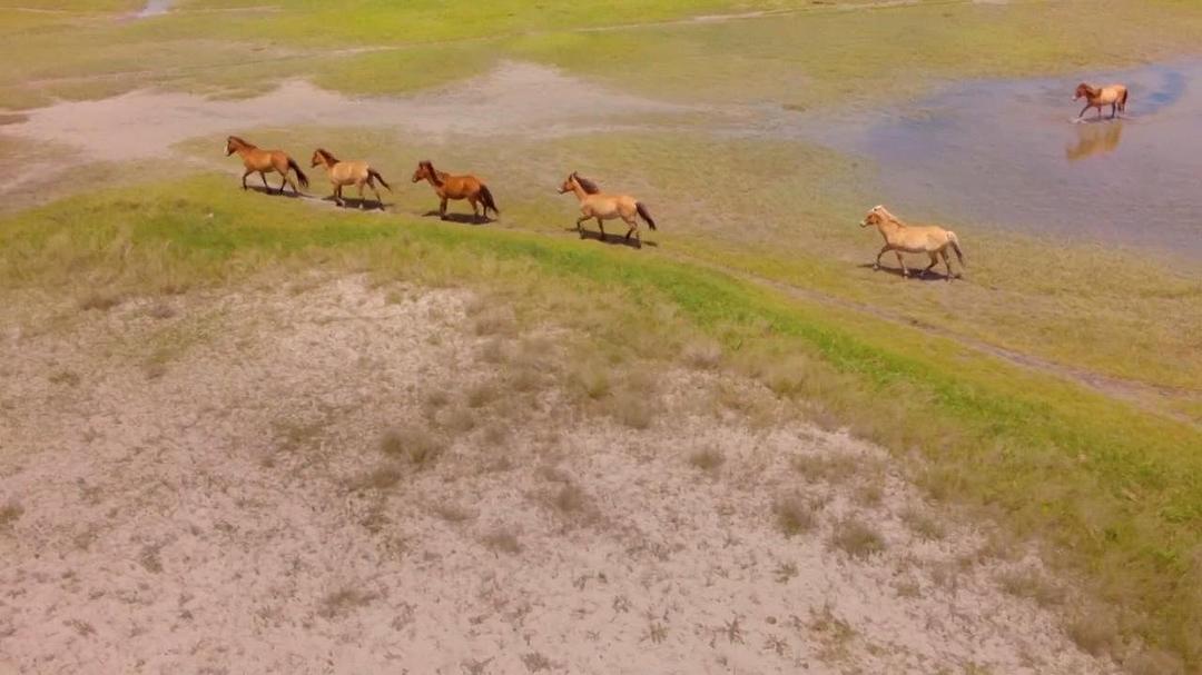 大西洋:地球最狂野的海洋 Atlantic: The Wildest Ocean on Earth