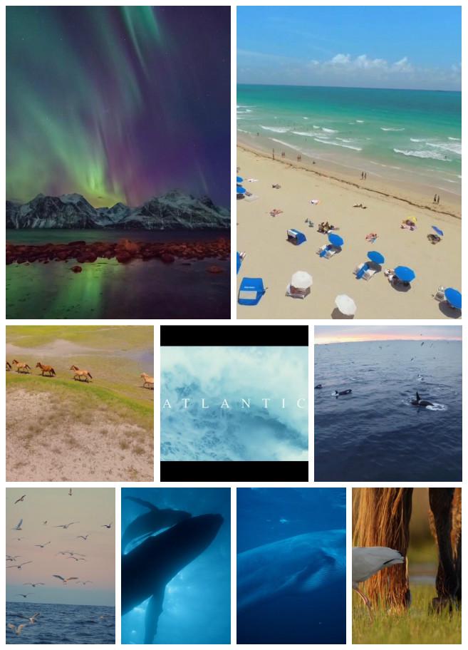 大西洋:地球最狂野的海洋 Atlantic: The Wildest Ocean on Earth