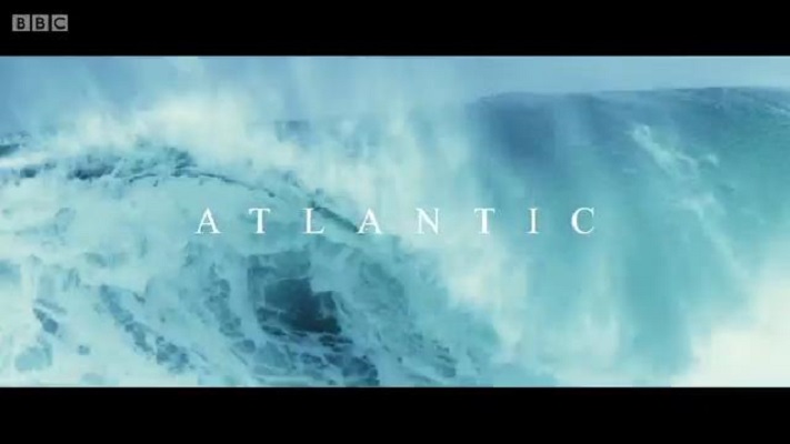 大西洋:地球最狂野的海洋 Atlantic: The Wildest Ocean on Earth