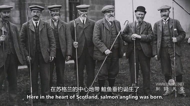 大西洋鲑鱼:迷失在海上 Atlantic Salmon: Lost at Sea